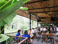 Botanic Gardens Restaurant Review