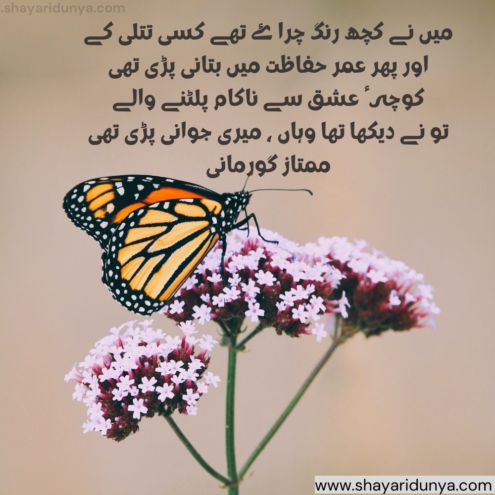 titli shayari in urdu | Butterfly Shayari | butterfly quotes | titli shayari in urdu  | titli quotes in urdu