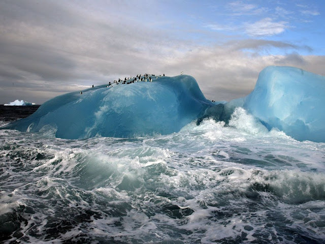 Blue Iceberg