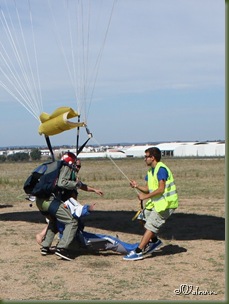 skydive 163
