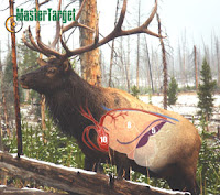 3d Elk Target5