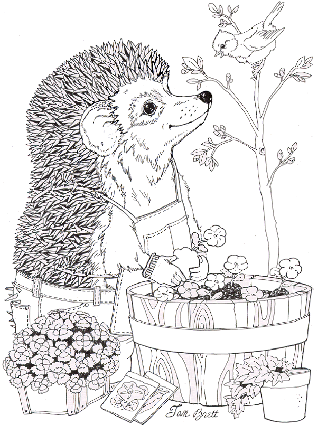 Flower Pot Coloring Pages