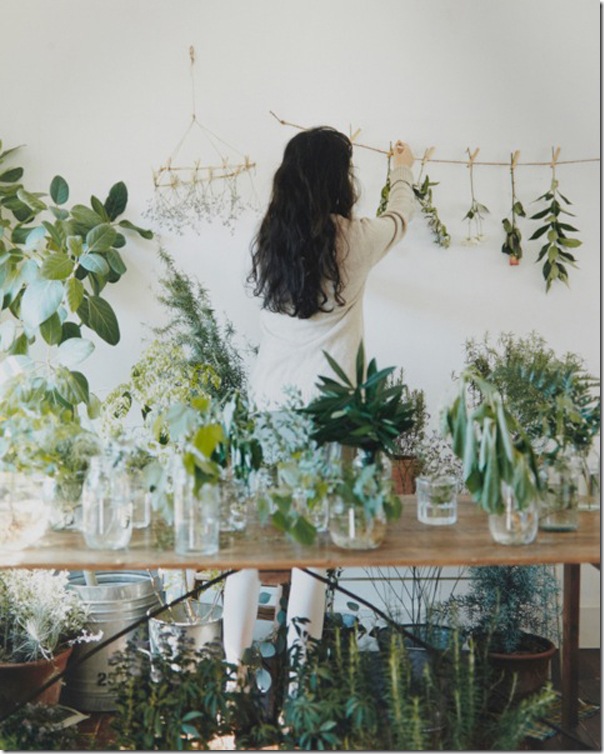 Feng Shui Your Life: Review Series; Plants