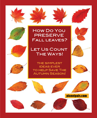 How to preserve Autumn leaves? Let us count the ways. So many and so simple