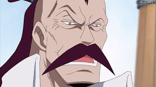 ワンピースアニメ 女ヶ島編 410話 モモンガ中将 | ONE PIECE Episode 410