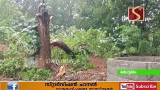കേരളത്തില്‍ കനത്ത മഴ തുടരുന്നു.