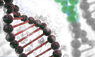 Biohacker Became The First Person To Edit His Own DNA