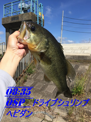 ヘビダン