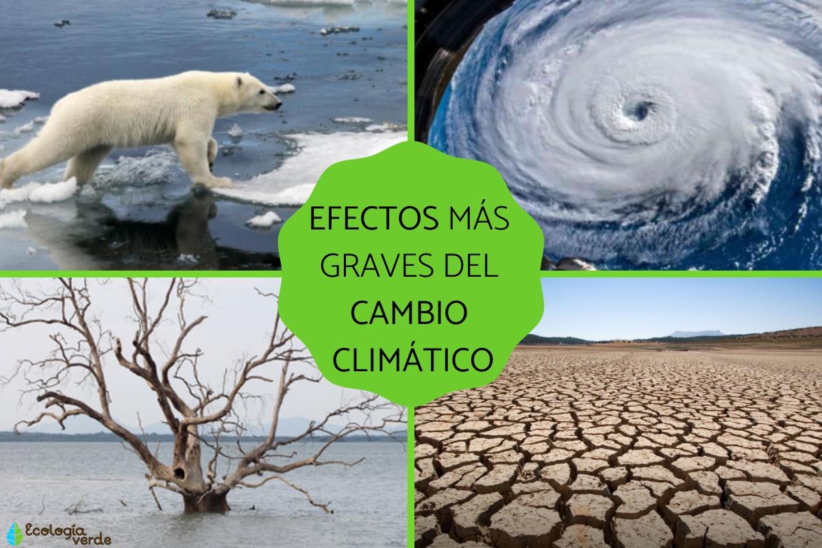 10 causas del cambio climático
