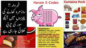 E Code Halal and Haram Food Identification,e codes halal,e code verifier, e codes list in hindi, e number list pdf, e number full list pdf, e numbers to avoid, e code 471, e503 food code