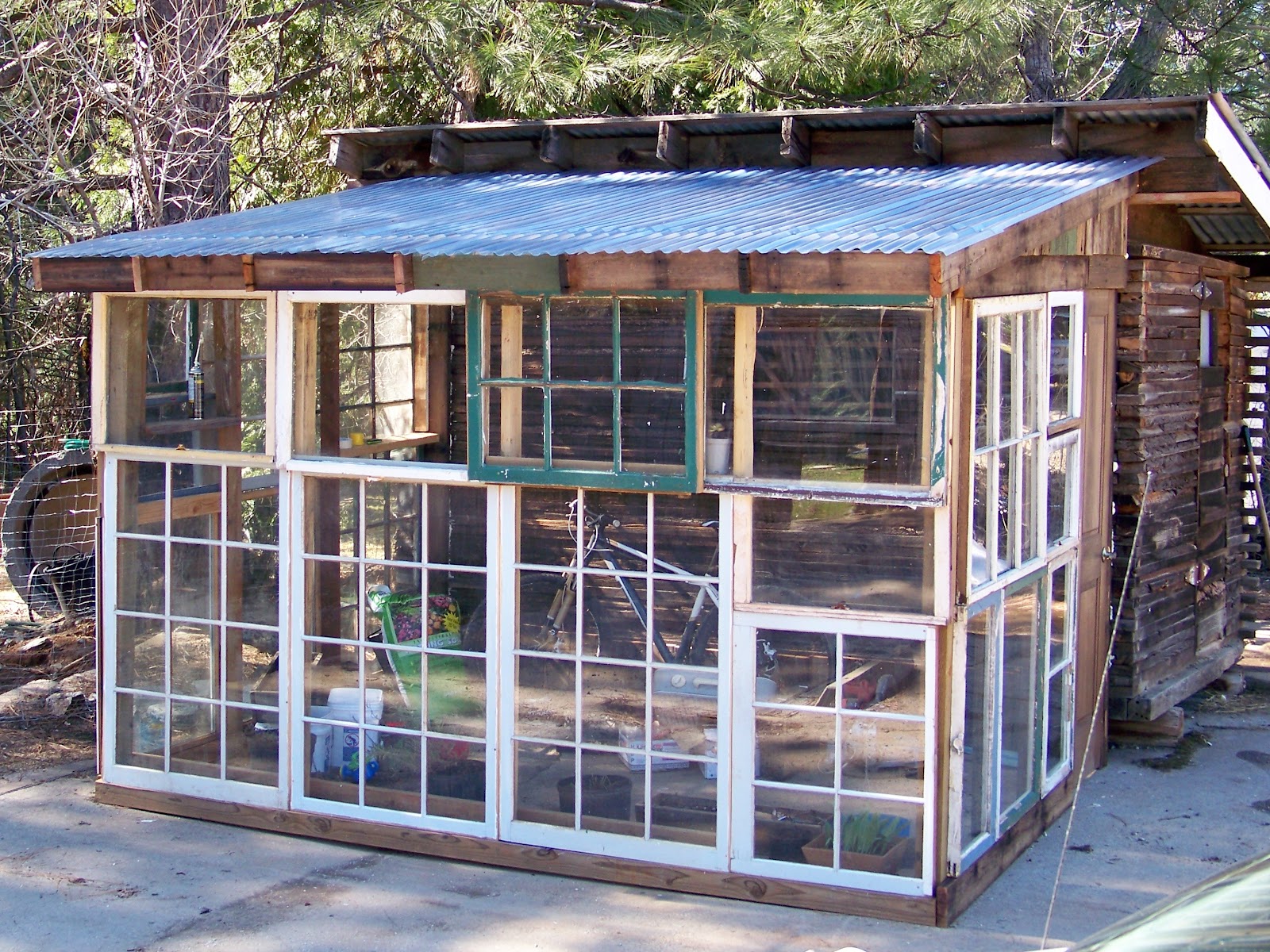 the gardner's dirt: windows repurposed...greenhouse!
