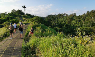 Indonesia, Isla de Bali, Ubud, Campuhan Ridge Walk o Sendero de la Palmera.