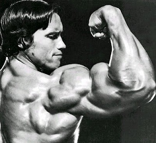 Arnold Schwarzenegger Bodybuilding Photo - Click to visit the source of this image.