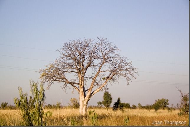 20120531_343web