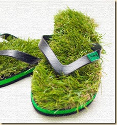 grassflipflops01