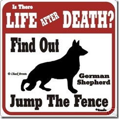 german-shepherd-funny-warning-sign-many-breeds-avail_250533691570