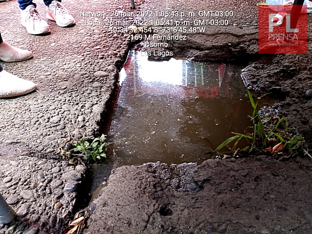 Osorno: mal uso del alcantarillado afecta a feria PAC