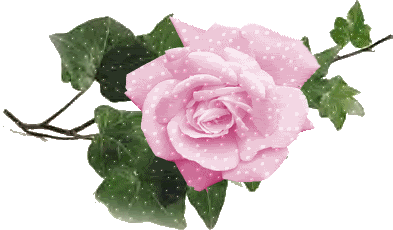 2013 rose day glittering cards|wallpapers|quotes|sms