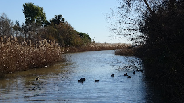 Río Gaià