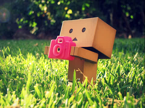 boneka danbo