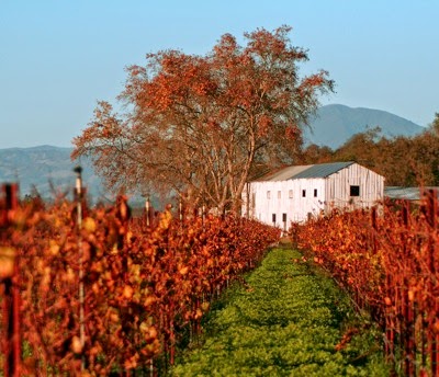 Calplans barn, Eastside Road