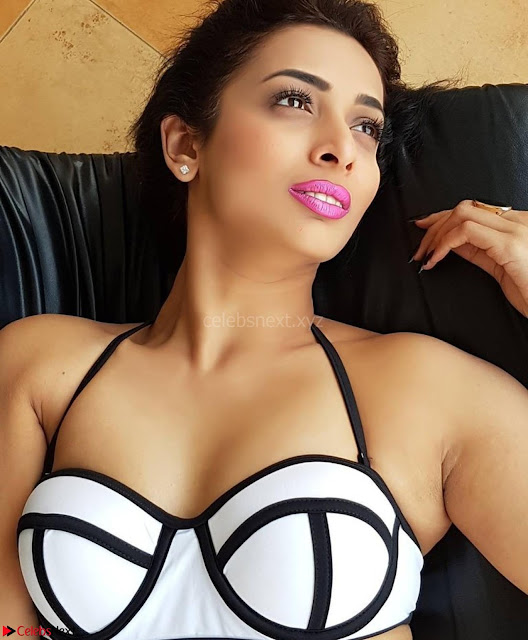 Heena Panchal in Bikini Portfolio Stunning Indian Actress Beauty ~  Exclusive Galleries 001.jpg