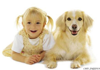 A little girl is playing with a dog