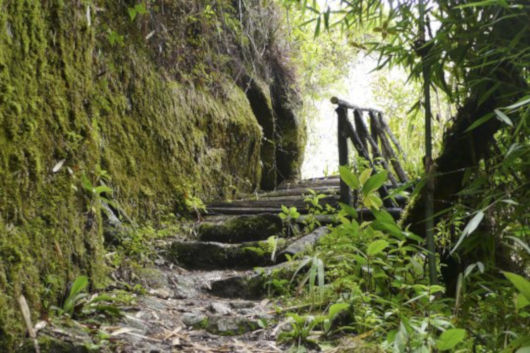 Peru - On the legendary Inca Trail