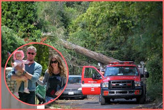 Eric Dane and his family escaped from tree collapse