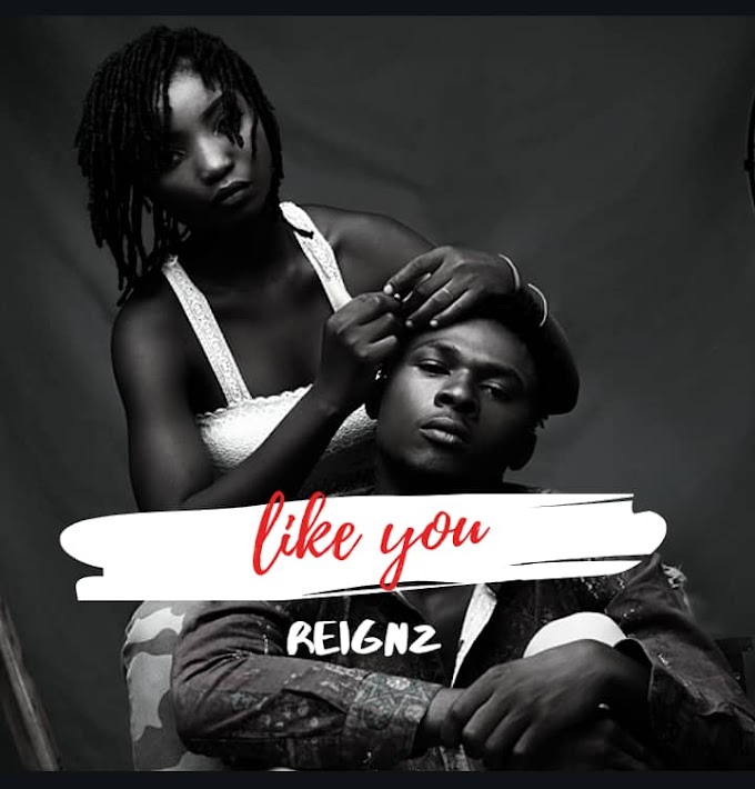 Reignz – Like You 