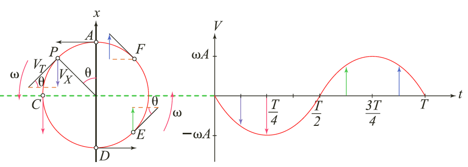 TECNIC Tema 1. Movimiento Armónico Simple (MAS)