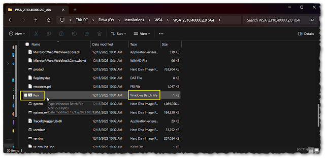 wsa run batch file