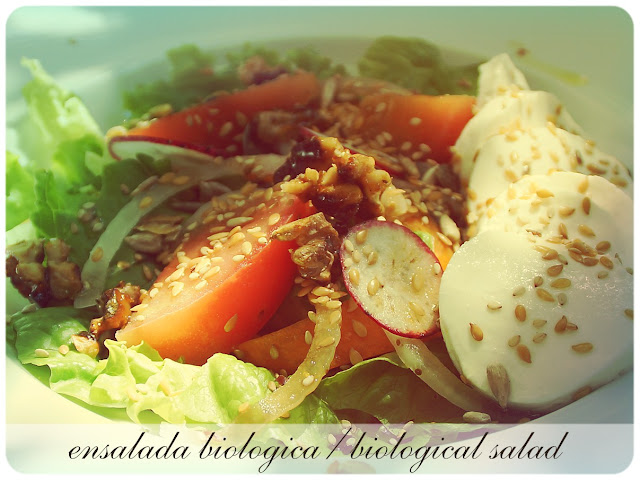 ensalada-biologica