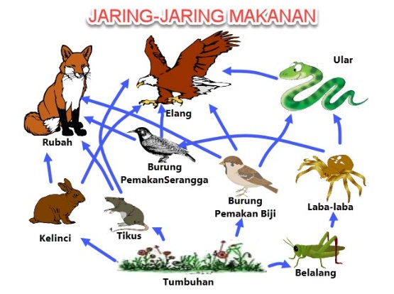  Materi dan Kunci Jawaban Tematik Kelas  Materi dan Kunci Jawaban Tematik Kelas 5 Tema 5 Subtema 3 Halaman 103, 104, 105