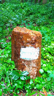 ghughwa fossils  park dindori, ghughva jivasm udhyan park dindori mp