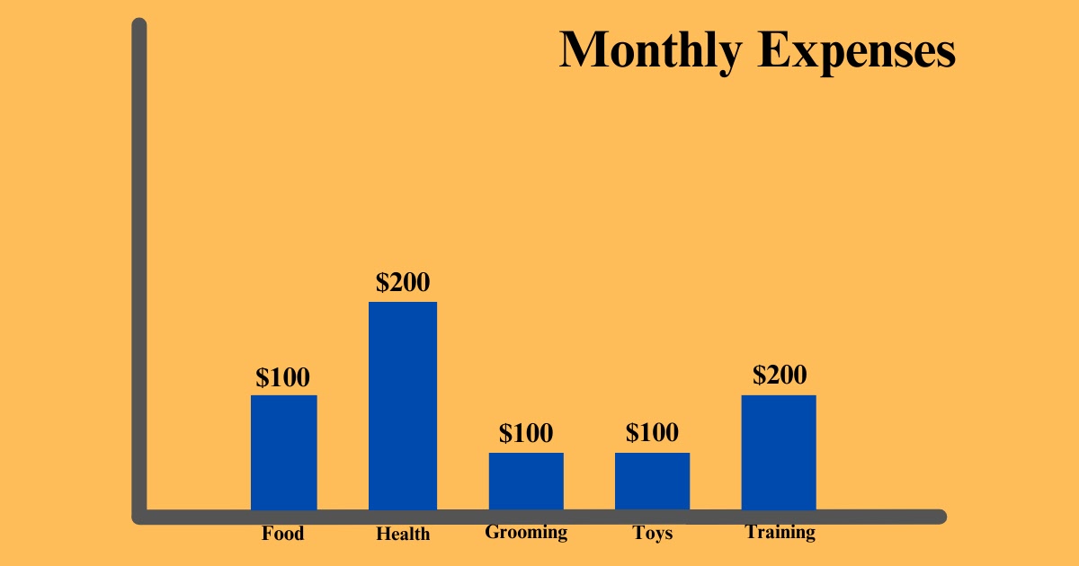 Monthly Expenses Of A Black Golden Retriever