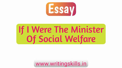 If I were the minister of social welfare essay