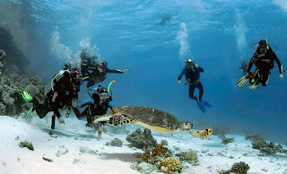 Ras Mohamed Excursions in Sharm El Sheikh 