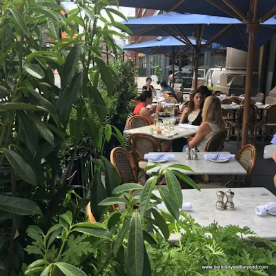 outdoor tables at Lafayette restaurant in NYC