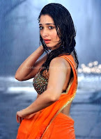 Tamanna, hot, navel, show, in, sexy, wet, saree