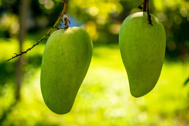 Cara Mengatasi Rambut Kering dengan Kulit Mangga dan Melon