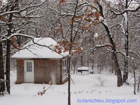 Botanic Bleu garden shed in a snowy woods shows how it looked in the beginning