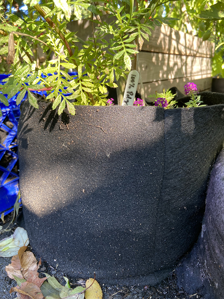 In Color Order: DIY Fabric Grow Bags