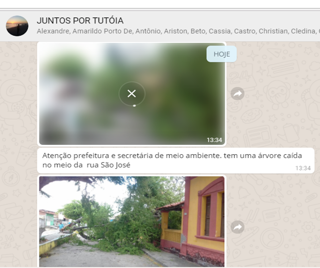 Árvore tombada na São José em Tutóia: População pede presença da Secretaria de Meio Ambiente