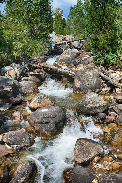 Grand Teton National Park Wyoming geology travel field trip copyright RocDocTravel.com