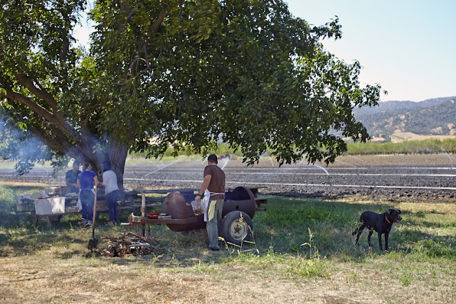 Nopalize Seasons at Riverdog Farm {photo © Julia Spiess 2014}