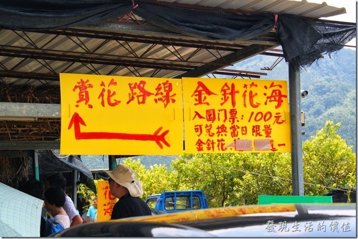 想進入南投頭社的金針花田賞花，必需要繳入園門票NT$100元，但是可以兌換當日限量的金針花或是美人心一份。