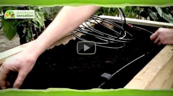  Click and Drip complete plant watering kit