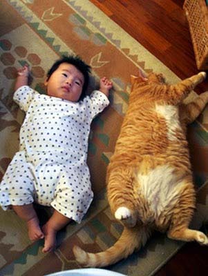 Garfield and Friend ~ Keiben 軽便