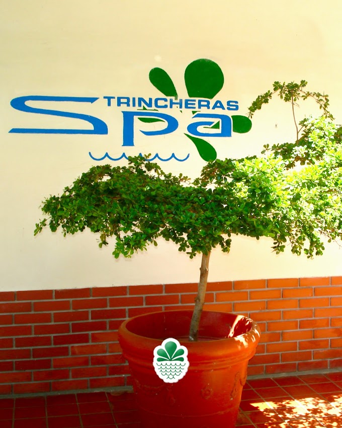 El Spa del Centro Termal las Trincheras